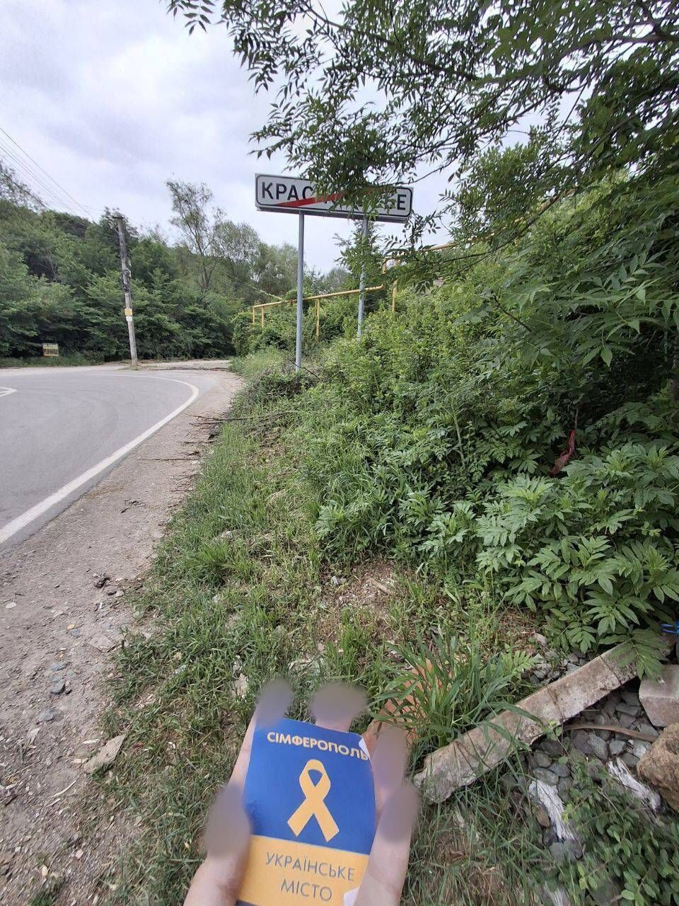 Партизани в Криму