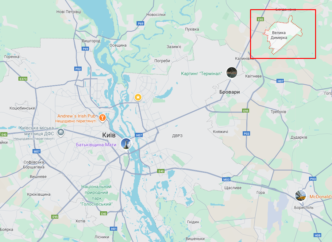 Під Києвом п’яний водій збив на смерть жінку, яка була у кріслі колісному. Подробиці ДТП та фото