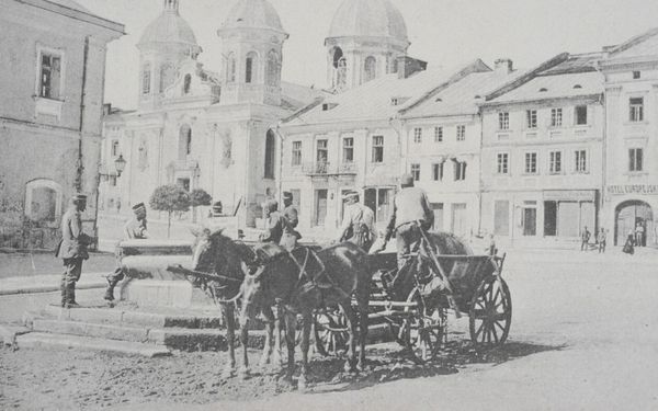 Місто зачаровує красою: у мережі показали історичні фото Бережан