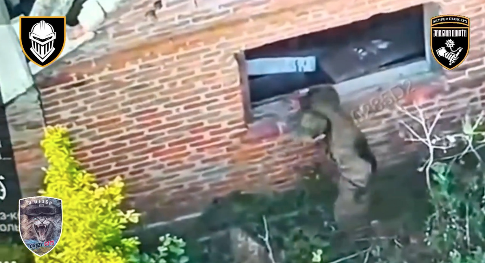 Уникальный случай: "Железная бригада" взяла в плен оккупанта с помощью дронов. Видео