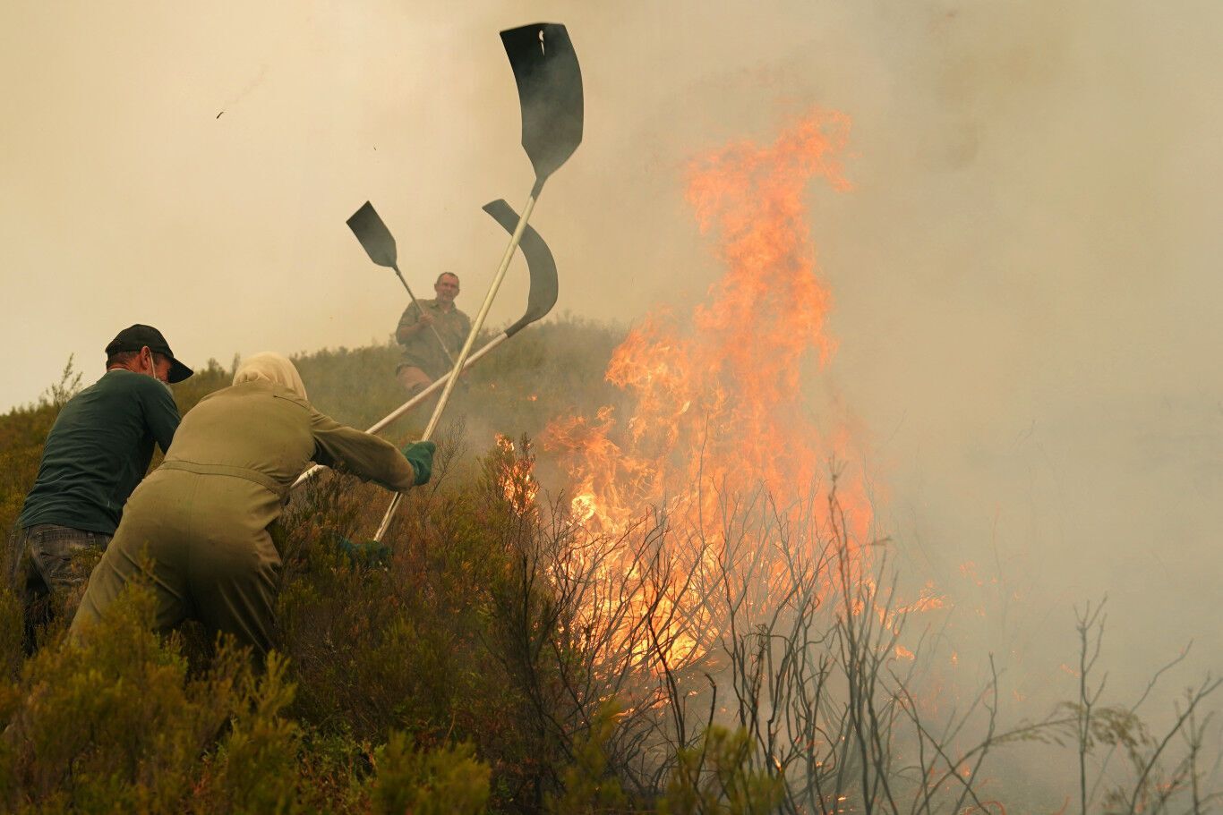 В ЕС бушуют рекордные лесные пожары: в огне более 1 миллиона гектаров