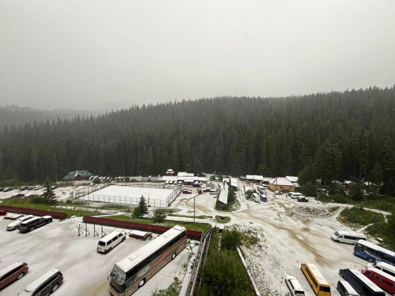 У Карпатах на День Незалежності випав сніг. Фото і відео