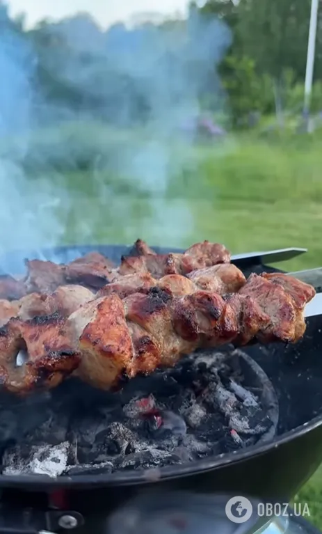 Сочный шашлык в маринаде с минералкой: какое мясо лучше выбрать