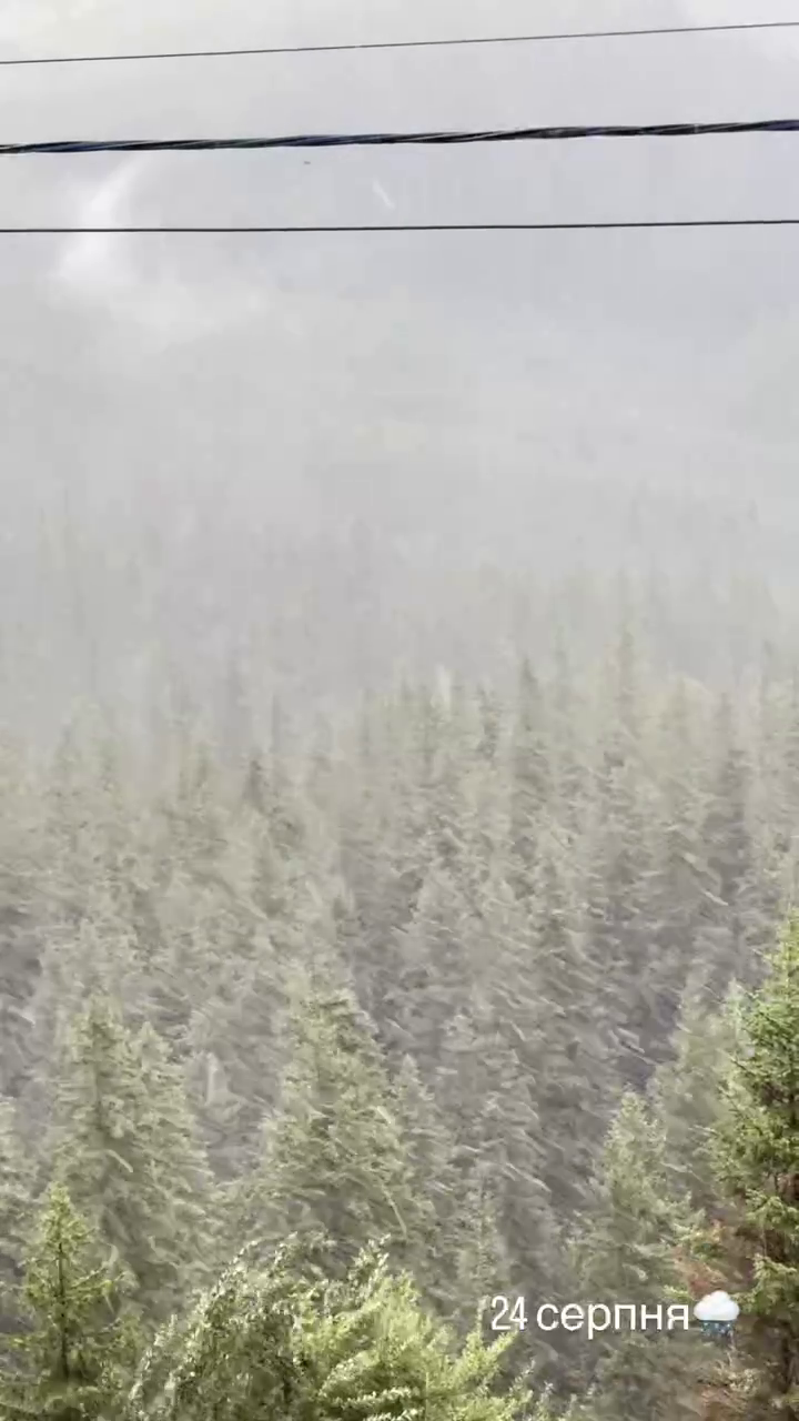 У Карпатах на День Незалежності випав сніг. Фото і відео