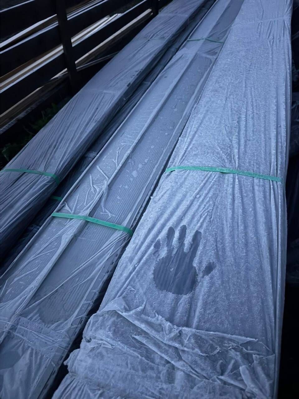 "Как-то немного рановато": в селе на Буковине зафиксировали 5 градусов мороза. Фото