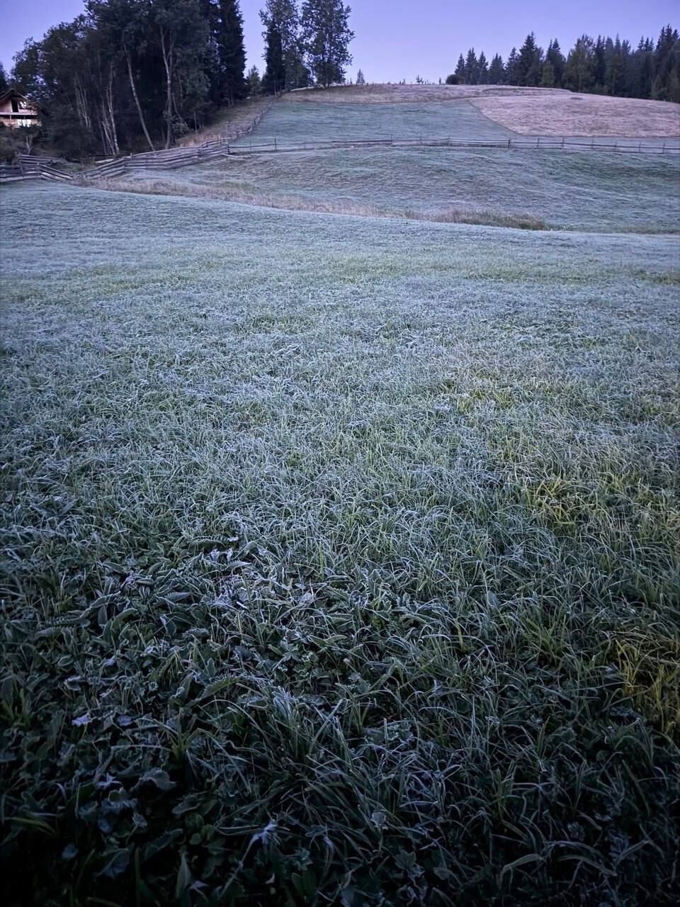 "Как-то немного рановато": в селе на Буковине зафиксировали 5 градусов мороза. Фото