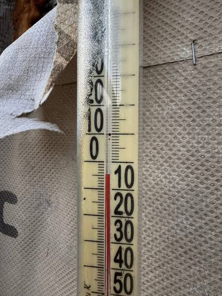 "Как-то немного рановато": в селе на Буковине зафиксировали 5 градусов мороза. Фото