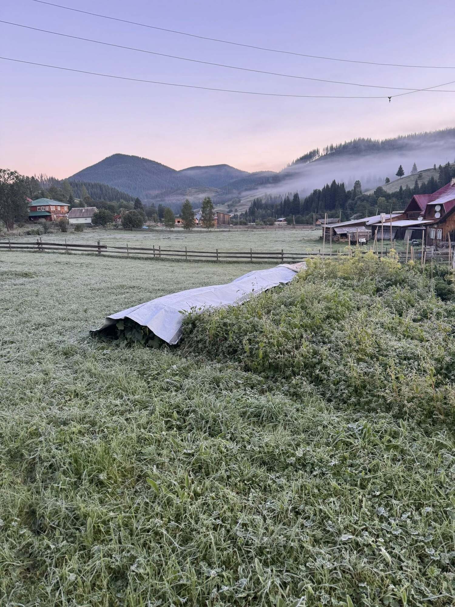 "Как-то немного рановато": в селе на Буковине зафиксировали 5 градусов мороза. Фото