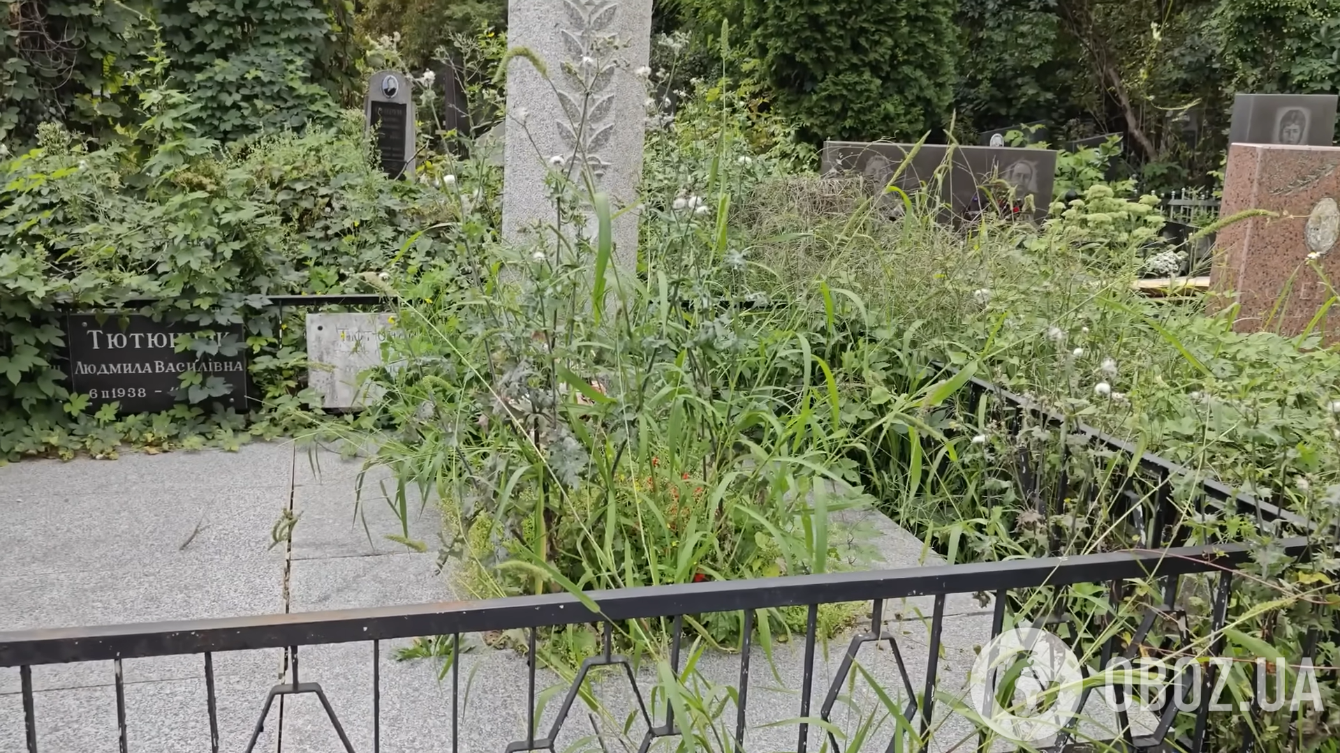 Заросшая сорняками и заржавевшая: блогер убрал заброшенную могилу самоубийцы-шестидесятника Тютюнника и ошеломил ее обновленным видом