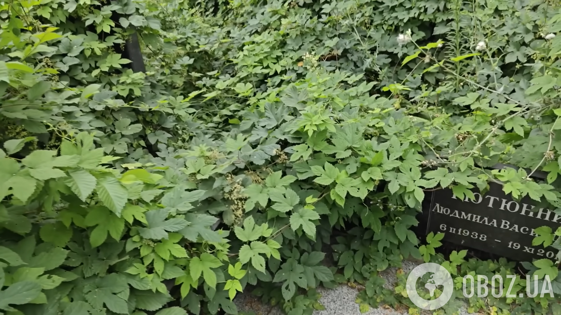 Заросшая сорняками и заржавевшая: блогер убрал заброшенную могилу самоубийцы-шестидесятника Тютюнника и ошеломил ее обновленным видом
