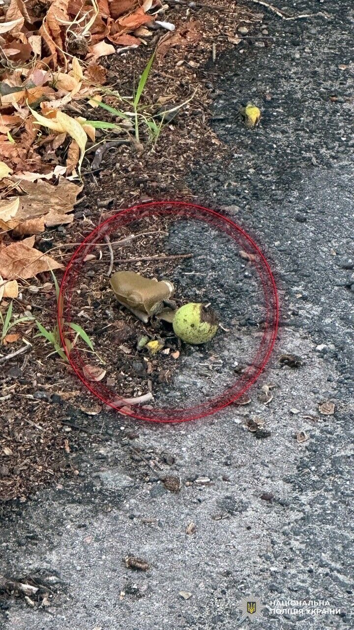 В Херсоне нашли мины-"лепестки", которые разбросали оккупанты: чем они опасны. Фото