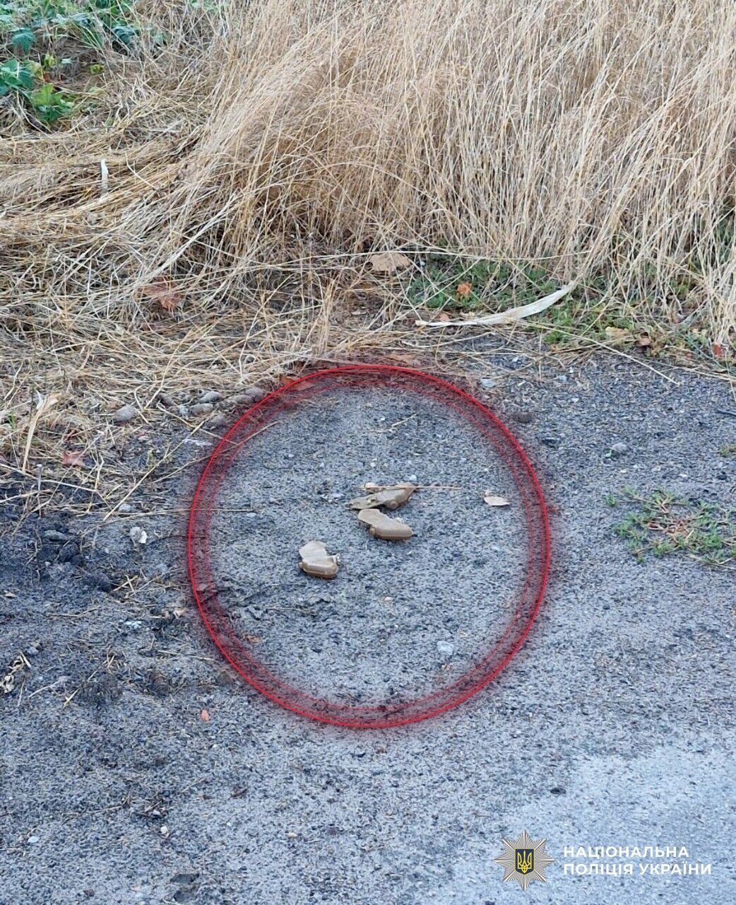 В Херсоне нашли мины-"лепестки", которые разбросали оккупанты: чем они опасны. Фото