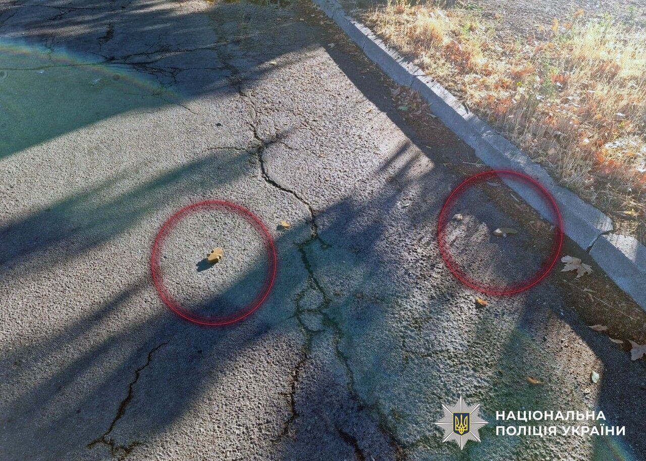 В Херсоне нашли мины-"лепестки", которые разбросали оккупанты: чем они опасны. Фото