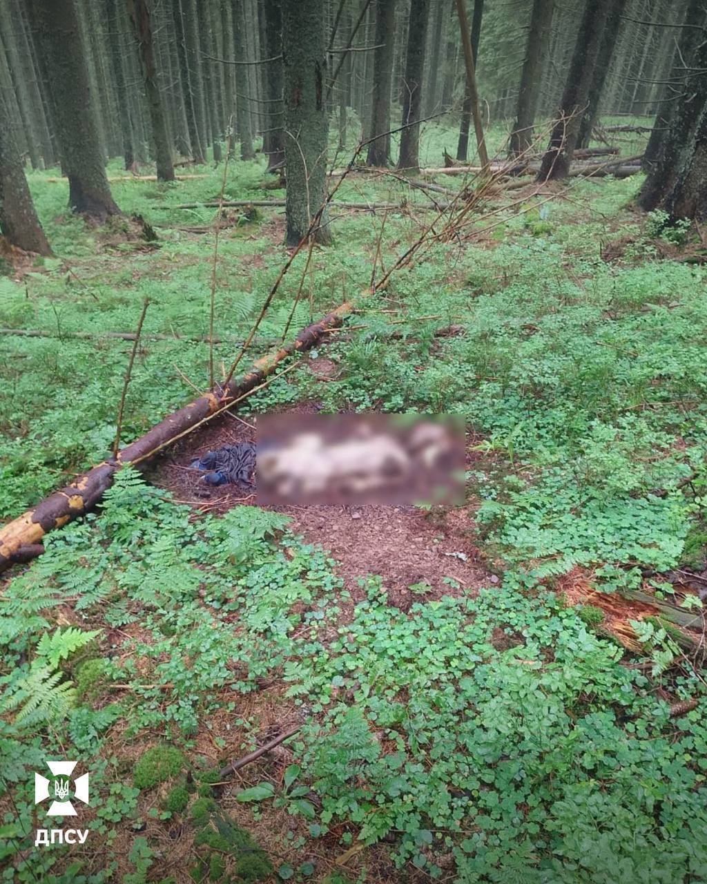 У Карпатах прикордонники виявили рештки двох людей: біля одного скелета був рюкзак