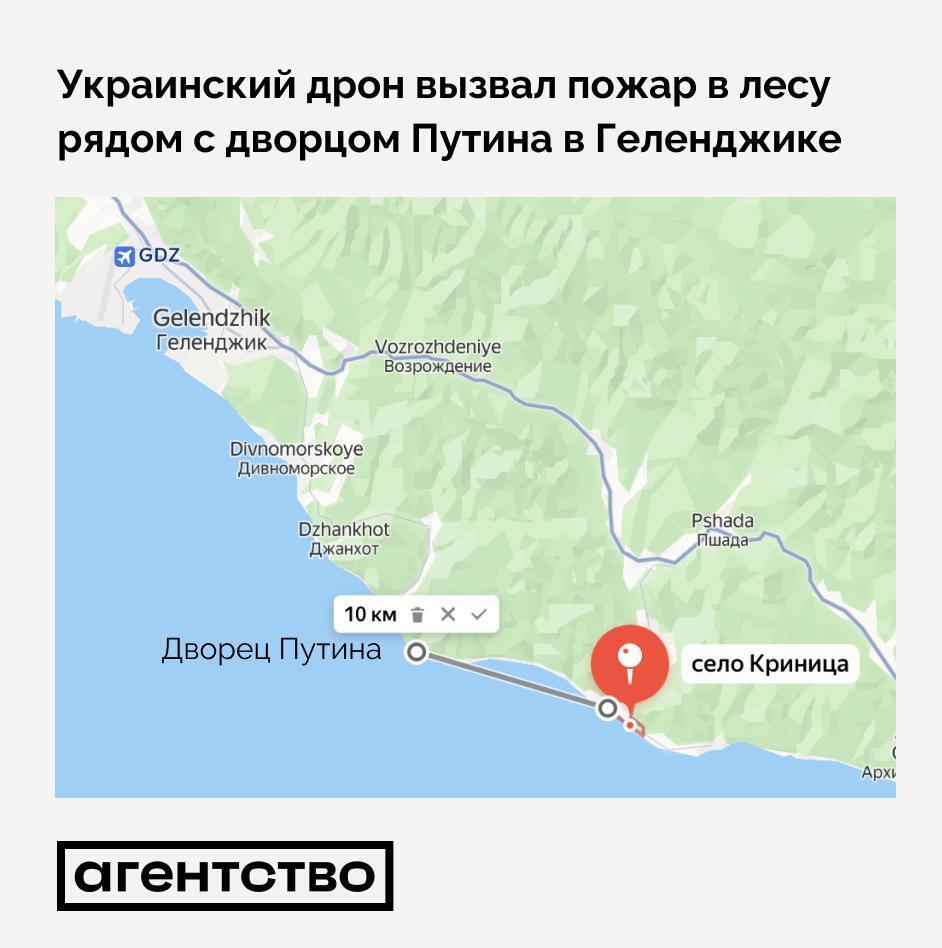Український дрон викликав пожежу в лісі поряд із палацом Путіна в Геленджику: з'явились подробиці