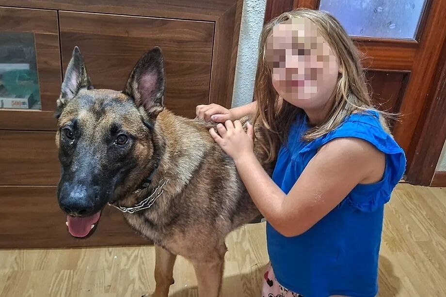 В Испанию вернули пса погибшего в Украине воина: впечатляющая история. Фото