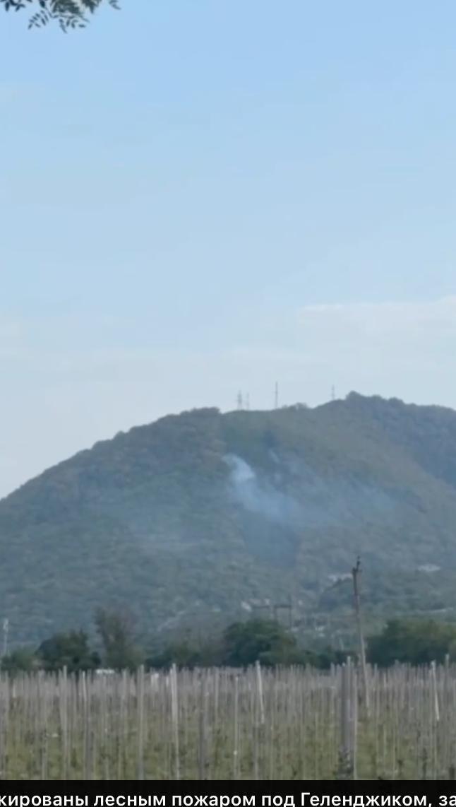 Український дрон викликав пожежу в лісі поряд із палацом Путіна в Геленджику: з'явились подробиці