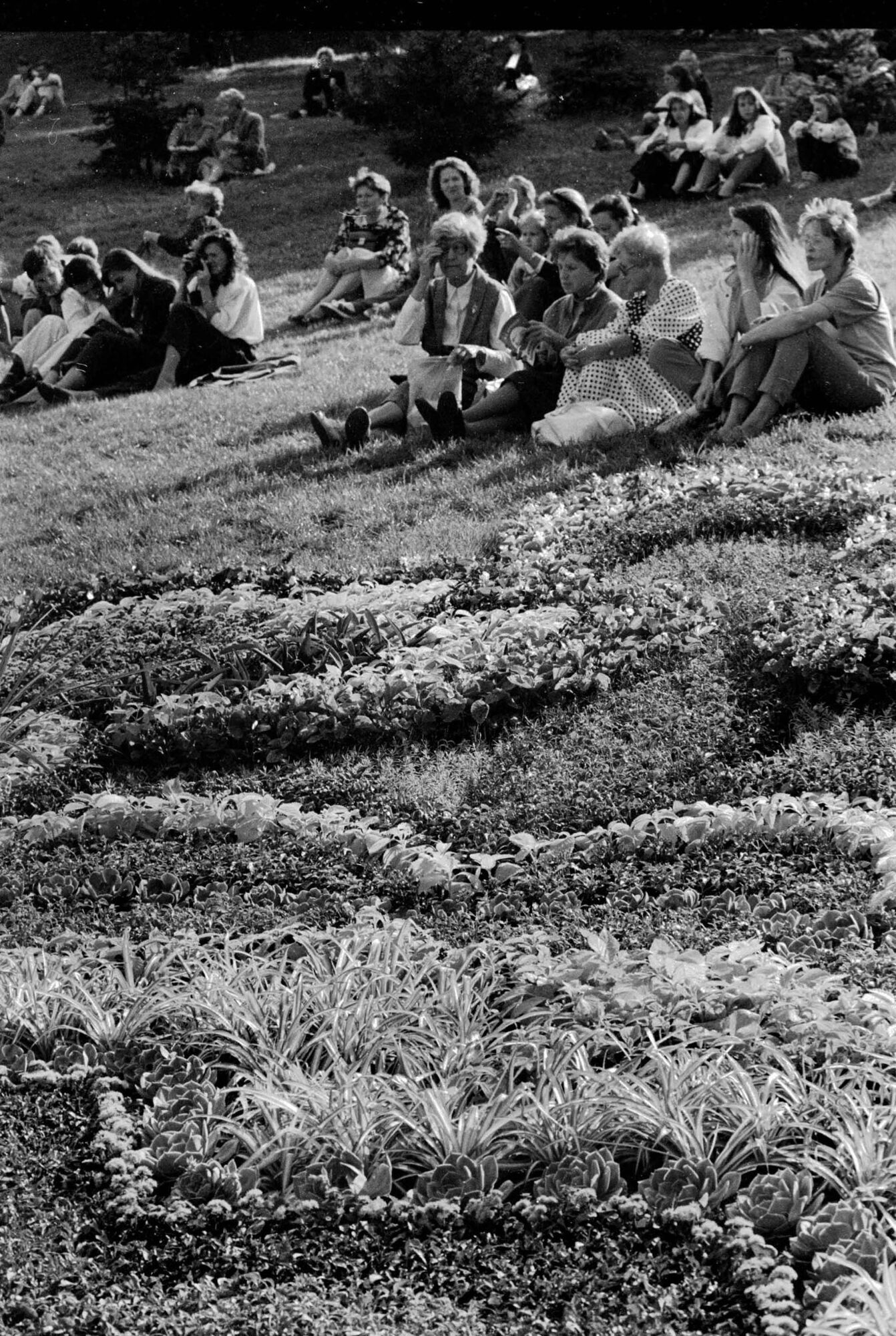 Який вигляд мала традиційна виставка квітів на Співочому полі в Києві у 1994. Архівні фото