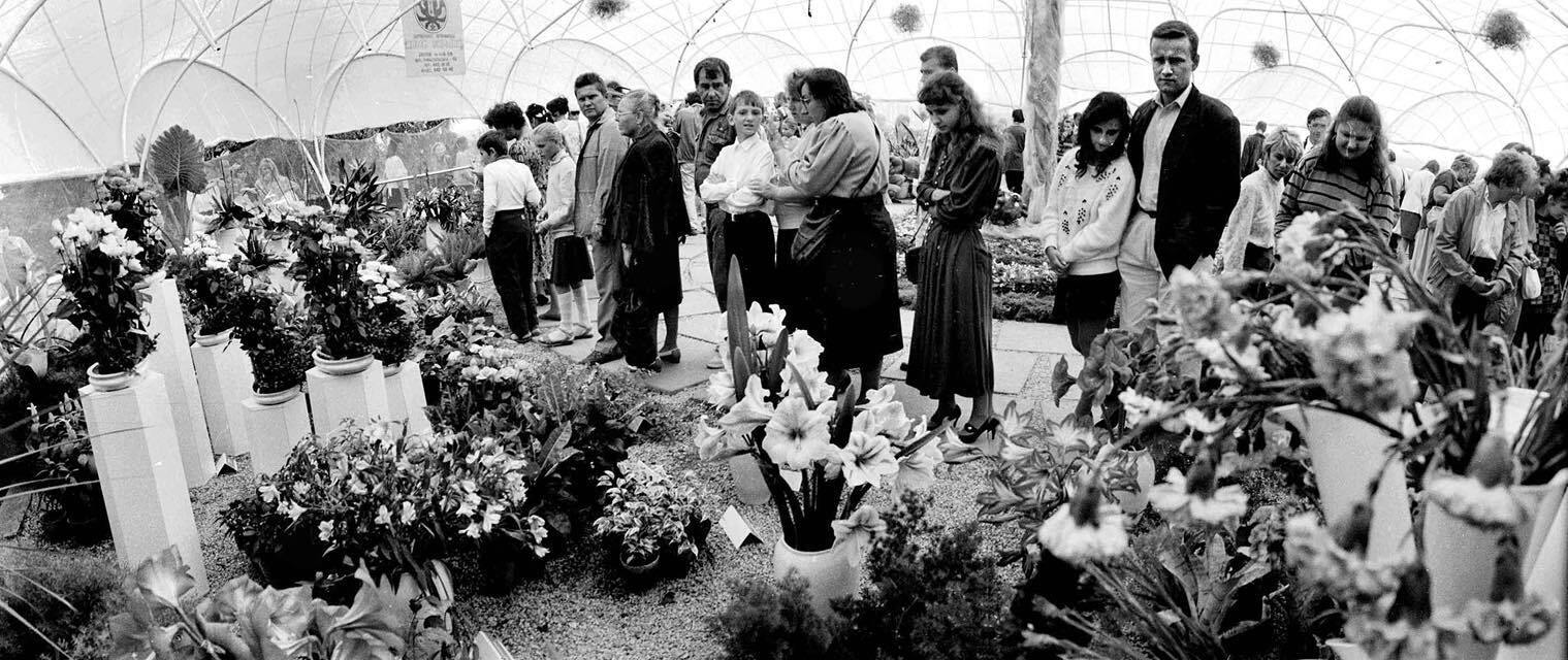 Який вигляд мала традиційна виставка квітів на Співочому полі в Києві у 1994. Архівні фото