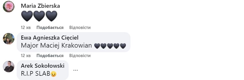 Польский истребитель F-16 разбился во время тренировки для авиашоу. Видео