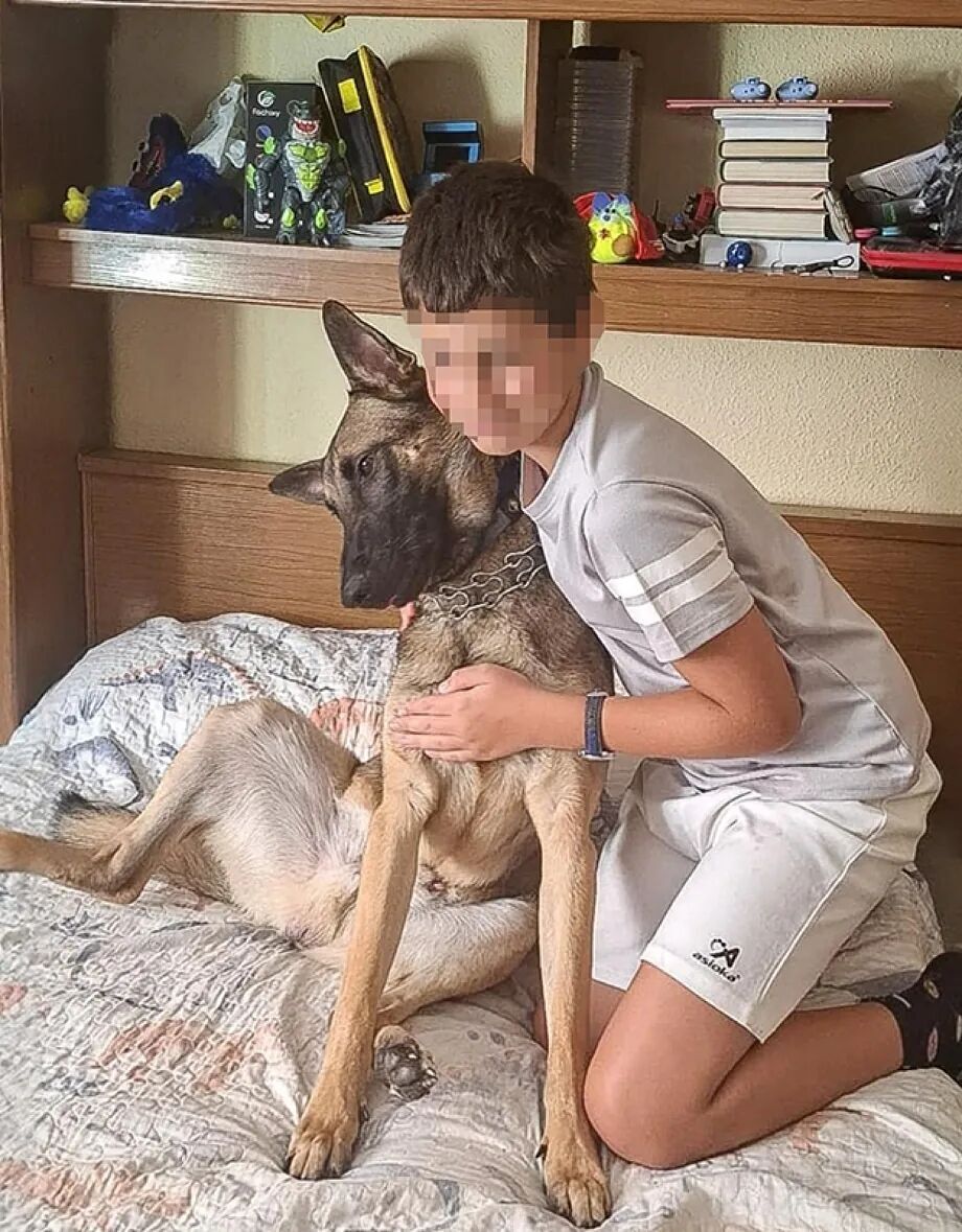 В Испанию вернули пса погибшего в Украине воина: впечатляющая история. Фото