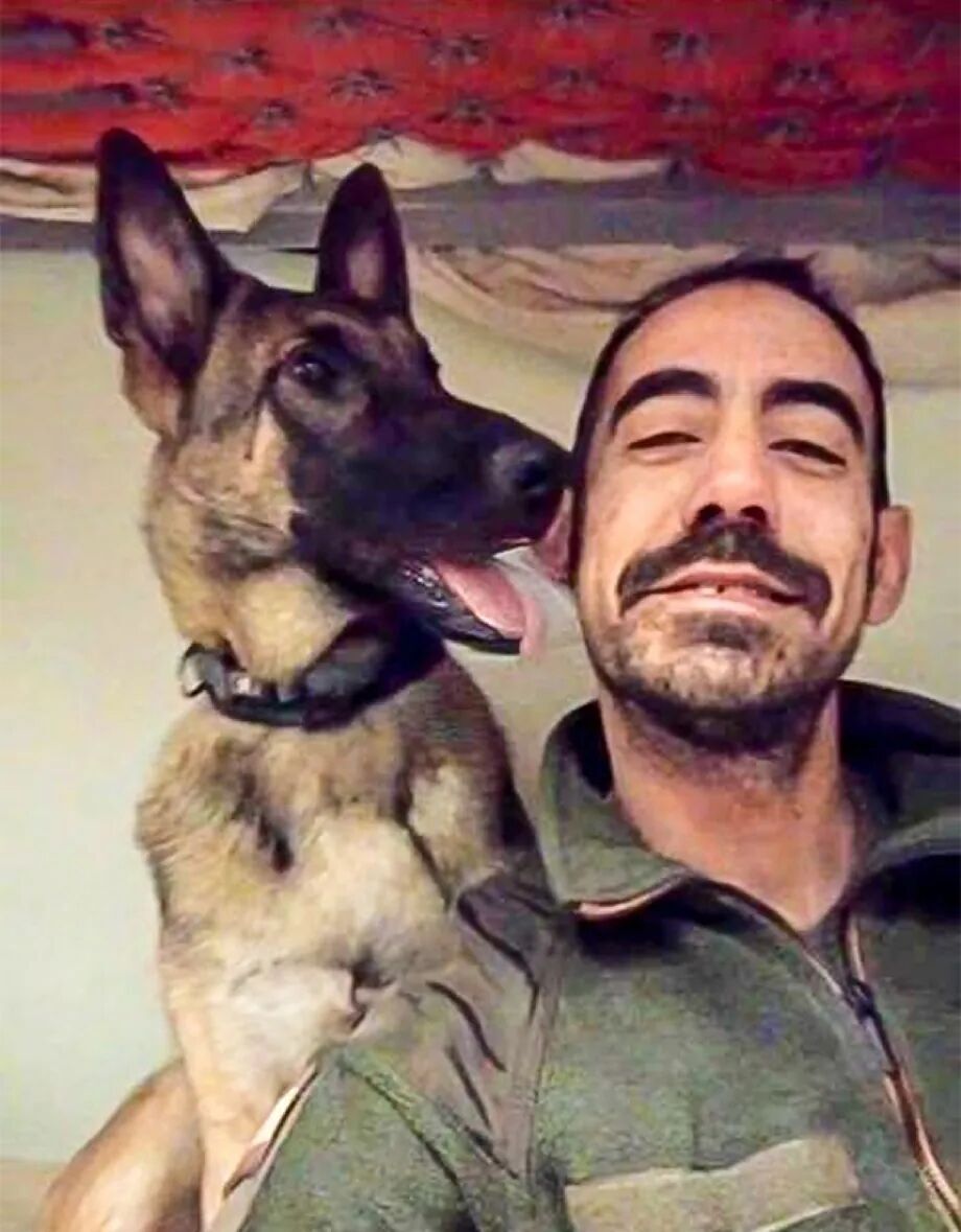 В Испанию вернули пса погибшего в Украине воина: впечатляющая история. Фото
