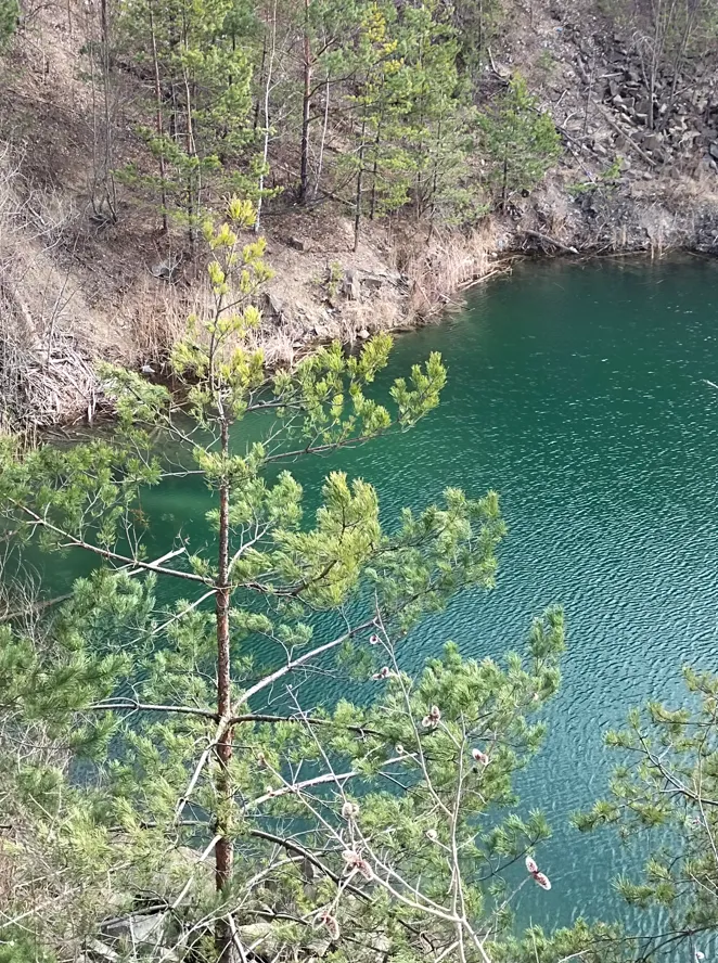 Нерукотворные крепости: где в Украине увидеть базальтовые столбы