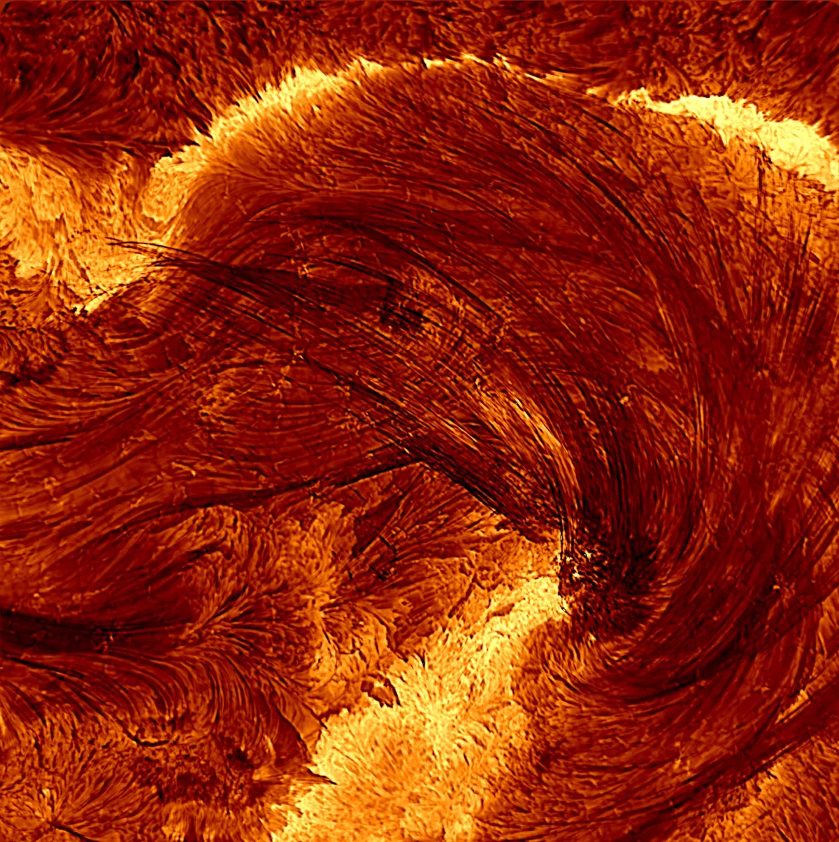 Детали завораживают: ученые показали самое детальное в истории фото вспышки на Солнце