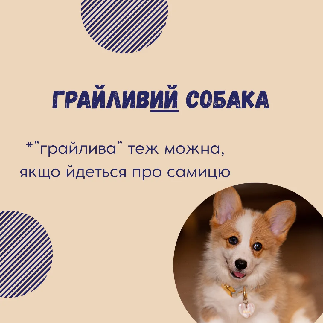 Мужской или женский род? Учительница разобрала типичную ошибку на НМТ по украинскому языку