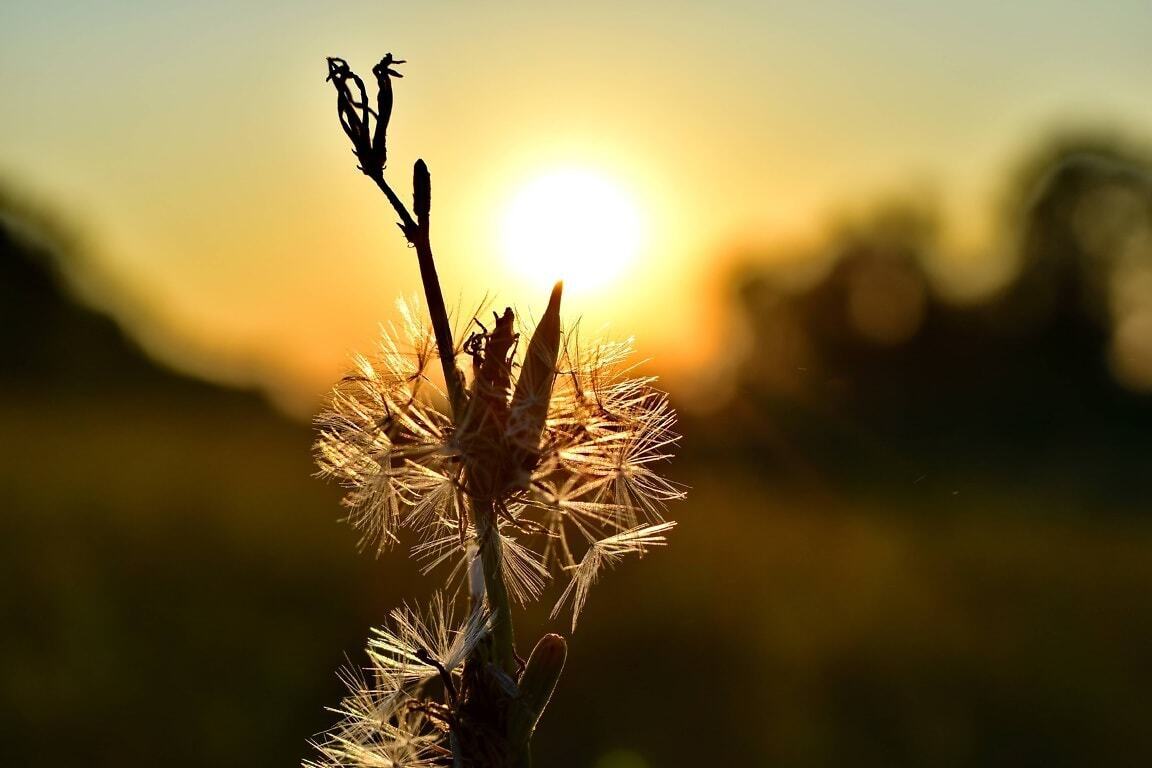 Синоптик дала прогноз на 1 сентября и рассказала, когда в Украине ослабнет жара