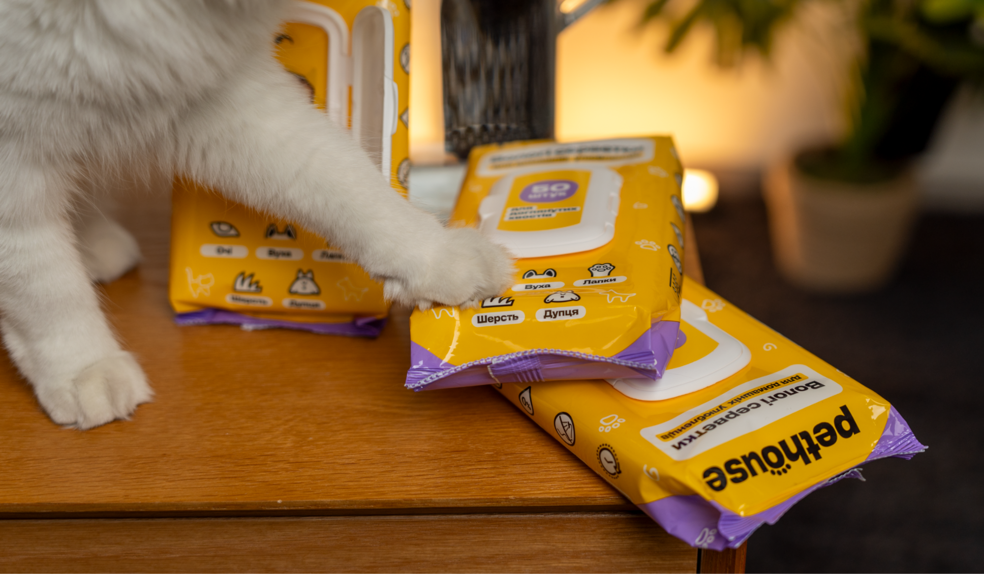 Тревожный чемодан для любимца: что иметь под рукой в чрезвычайных ситуациях