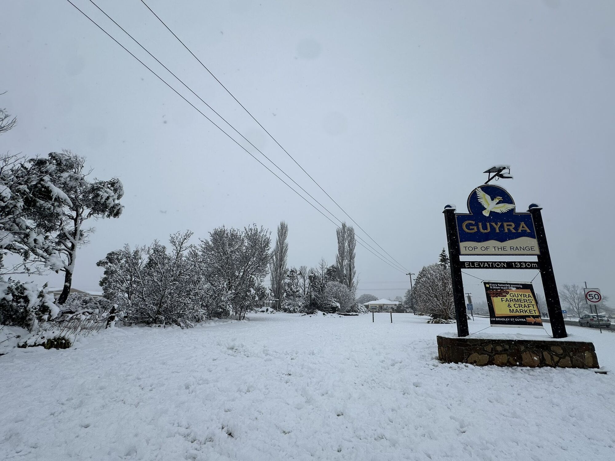 Австралию накрыл мощный снегопад: кенгуру застревают в сугробах. Фото и видео