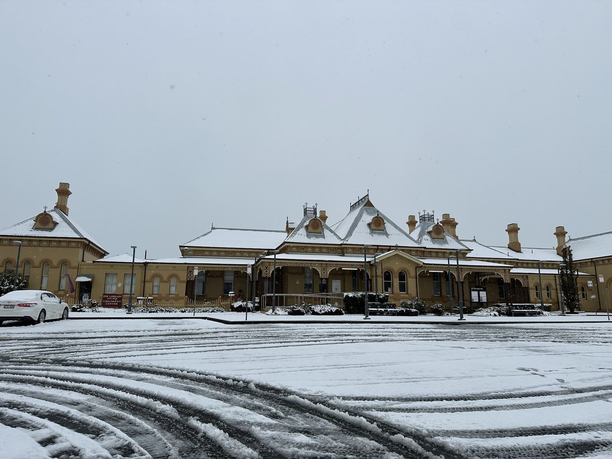 Австралию накрыл мощный снегопад: кенгуру застревают в сугробах. Фото и видео