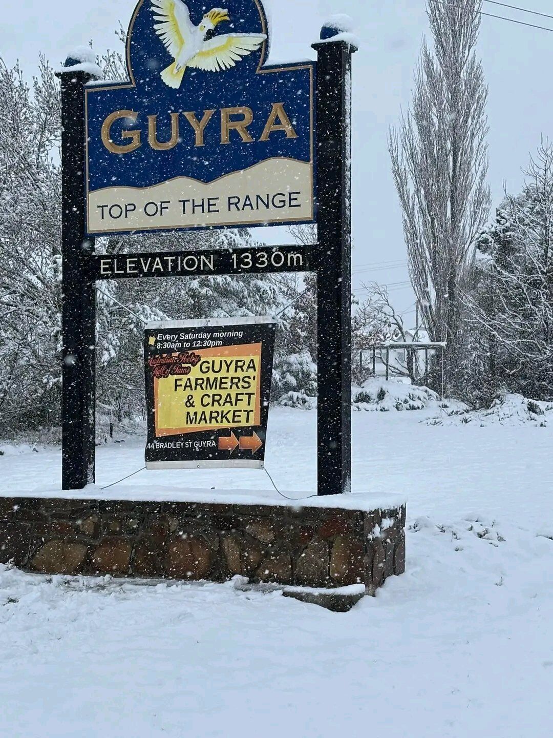 Австралию накрыл мощный снегопад: кенгуру застревают в сугробах. Фото и видео