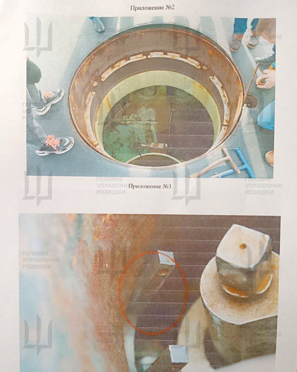 Князь Пожарський секретні документи