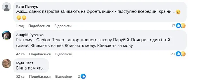 Повторилася історія з Фаріон: з'явилася важлива деталь щодо вбивства Парубія