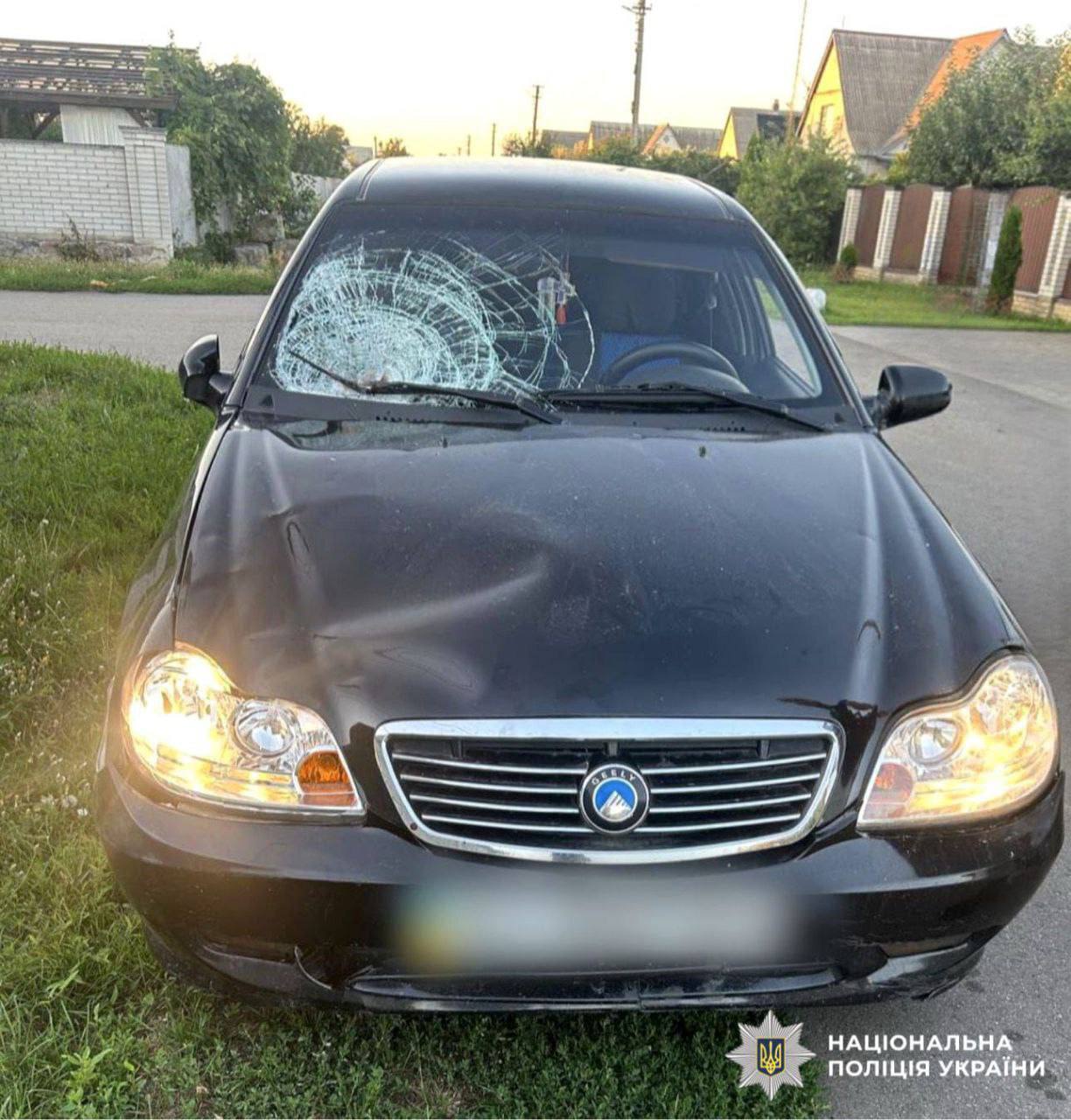 На Киевщине пьяный водитель сбил двух малолетних девочек. Подробности ДТП и фото