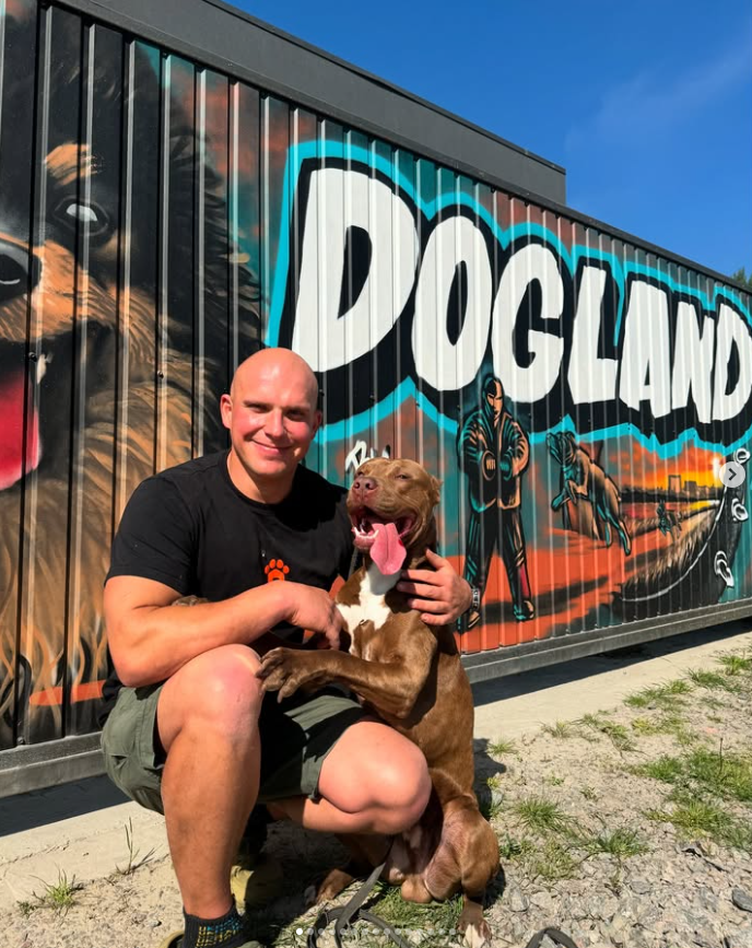 За парканом чути лайку, а ночами собаки виють у своїх клітках: що відбувається у DOGLEND під Києвом, де жорстоко поводяться з тваринами