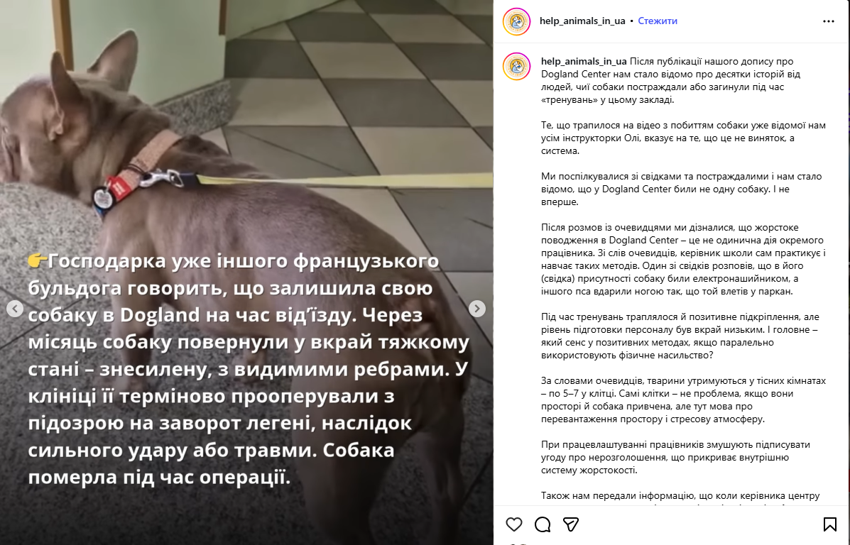 За парканом чути лайку, а ночами собаки виють у своїх клітках: що відбувається у DOGLEND під Києвом, де жорстоко поводяться з тваринами