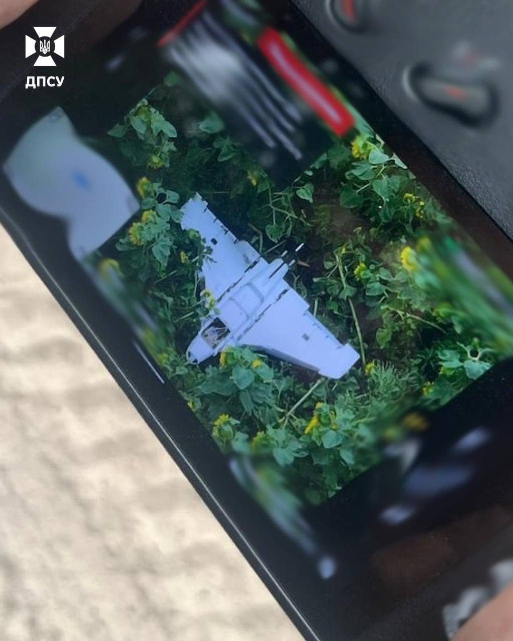 Российские дроны "Гербера" становятся опаснее: пограничники назвали причину. Фото