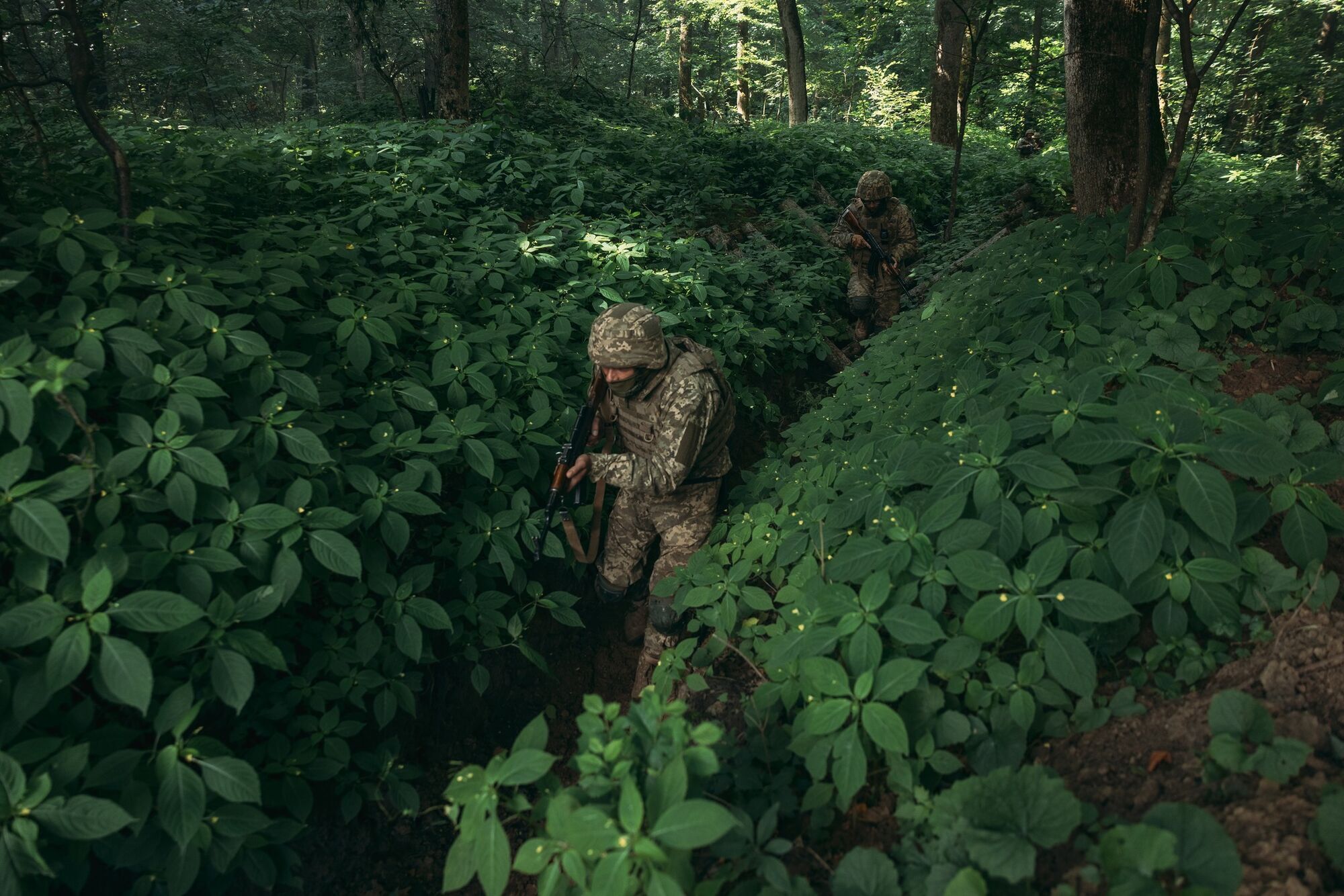 Штурм із висадкою з броні та психологічна смуга: у ЗСУ показали базову підготовку 183-го батальйону резерву. Фото