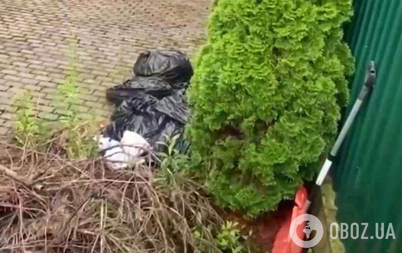 В России нашли "тайный дом" Андрея Макаревича за $875 тысяч: что увидели на территории. Фото