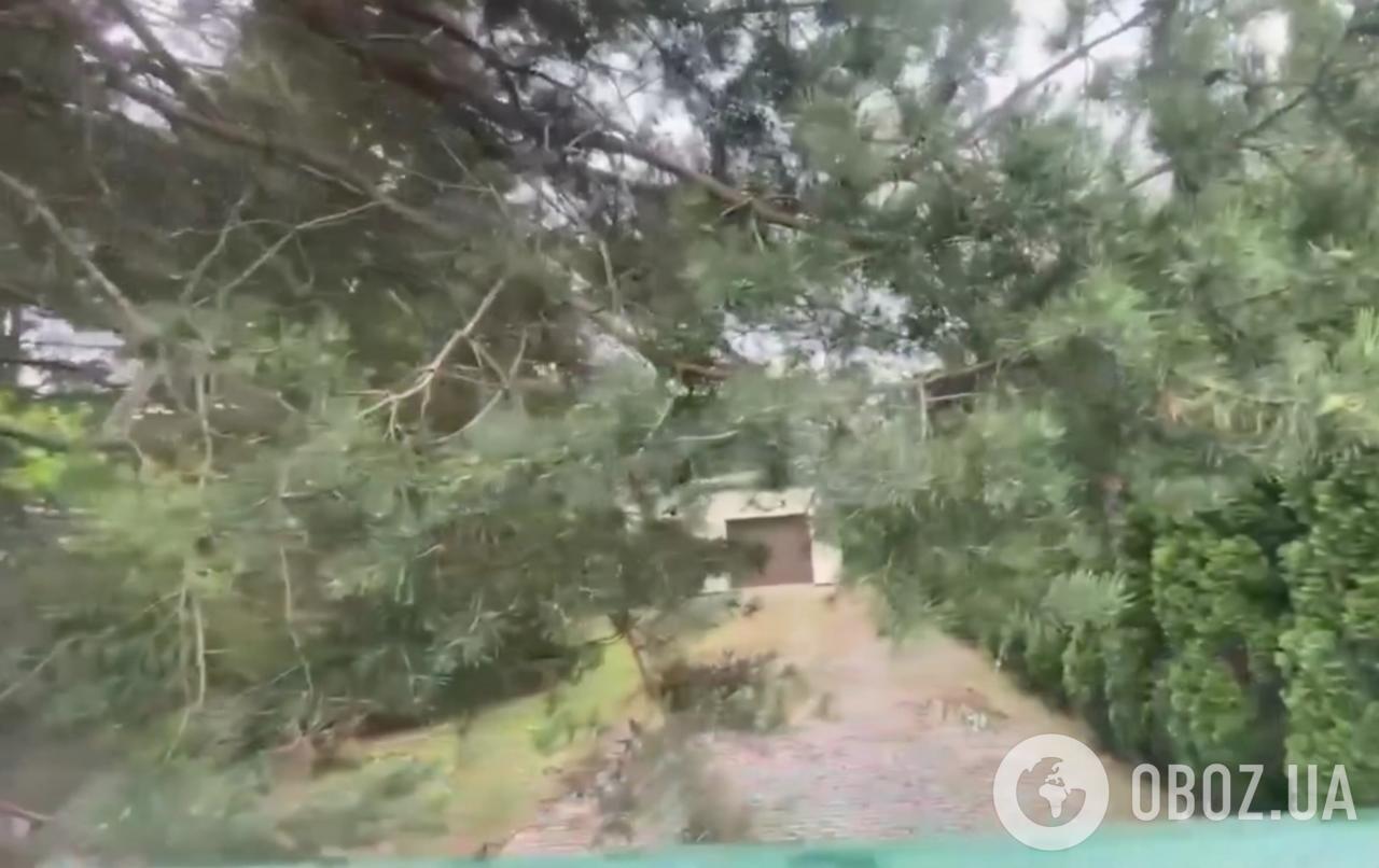 В России нашли "тайный дом" Андрея Макаревича за $875 тысяч: что увидели на территории. Фото