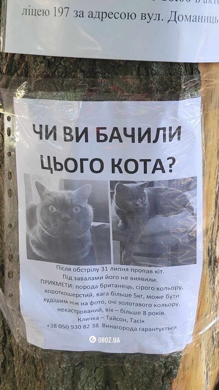 Дитячі іграшки, портрети та квіти: який вигляд сьогодні має будинок у Києві, в який влучила російська ракета. Фото та відео