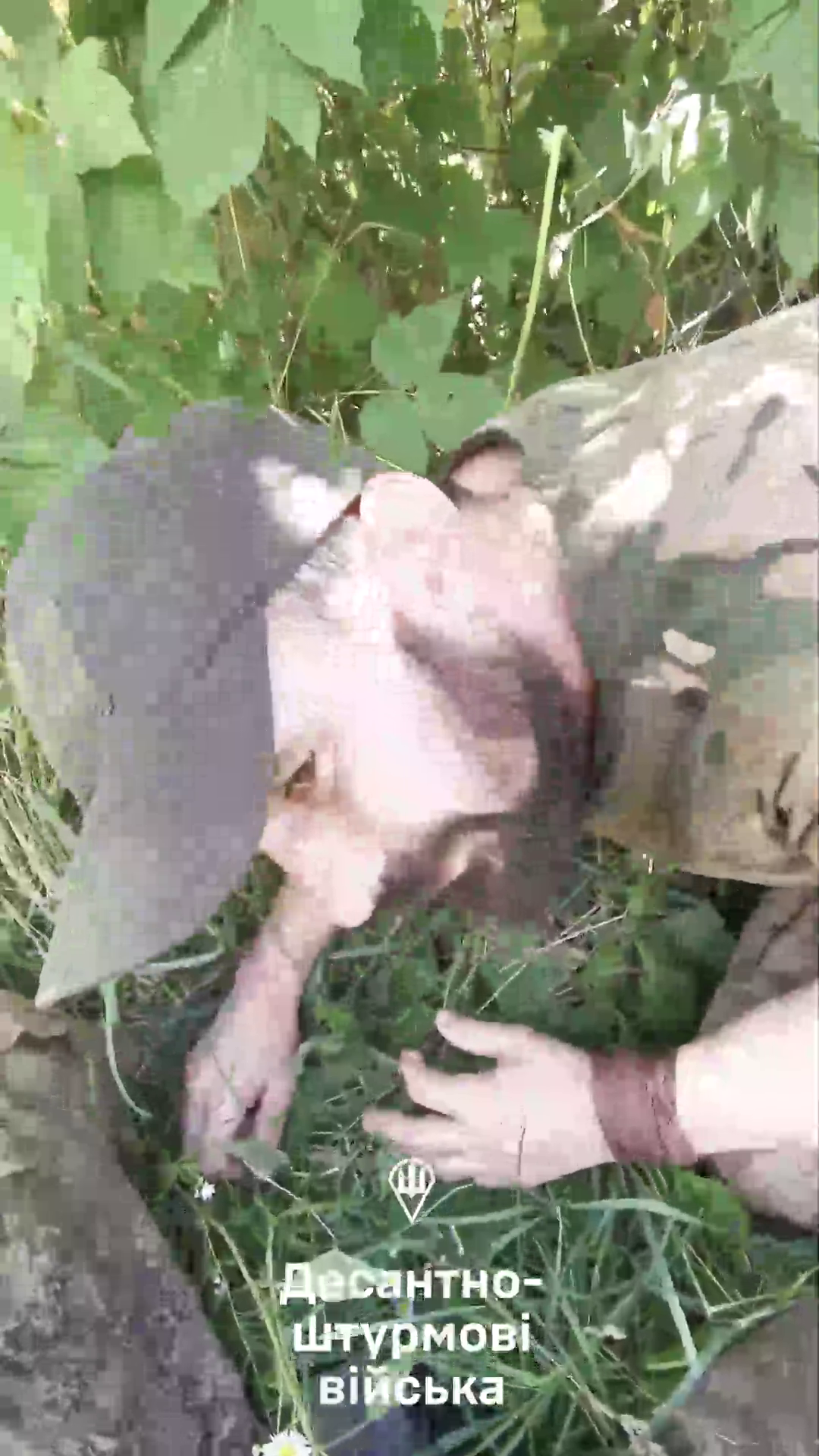 "Ти фарш": у телефоні окупанта на Сумщині знайшли відео з "особливим" бойовим "злагодженням" армії Путіна. Відео