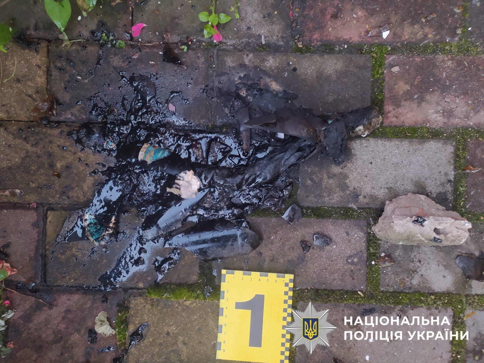 На Киевщине трое молодых людей пытались сжечь дом ветерана: выполняли задание врага. Фото