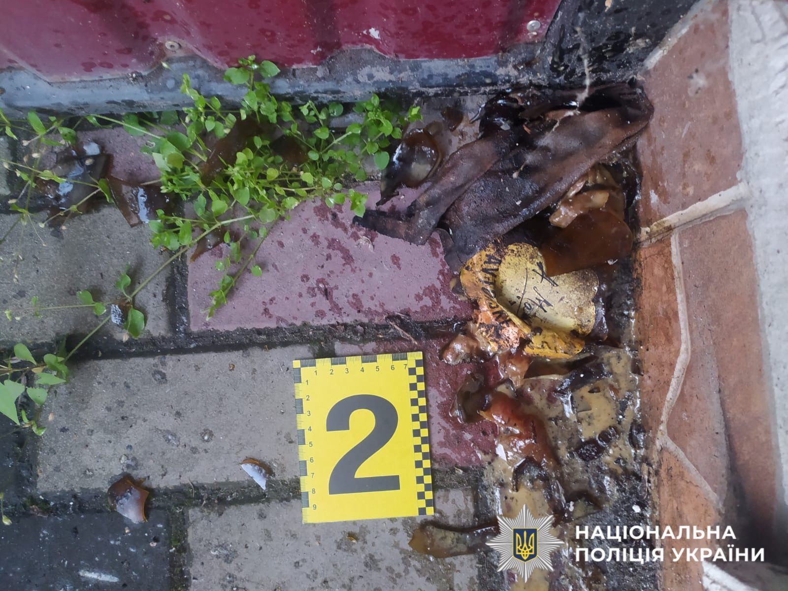 На Киевщине трое молодых людей пытались сжечь дом ветерана: выполняли задание врага. Фото