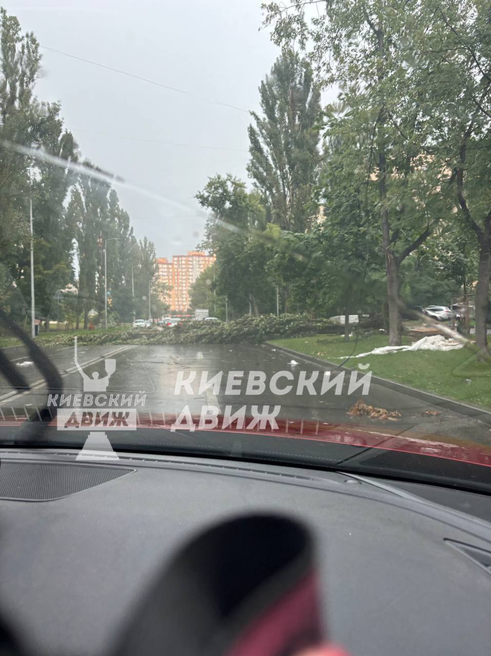 Київ накрила потужна гроза з градом: негода валила дерева, дороги перетворились на річки. Подробиці, фото та відео