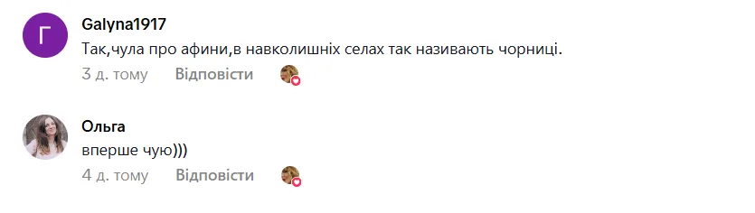 FIЇNKA умилила сеть новой песней ''Афини'': что это за ягоды