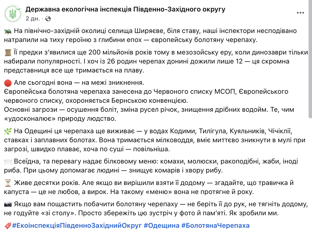 "Старіша" за динозаврів: на Одещині помітили рідкісну черепаху. Фото і відео